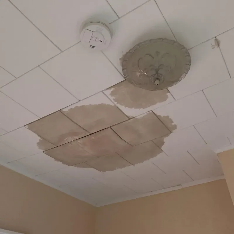 Ceiling Water Damage Repair in North Boston, NY