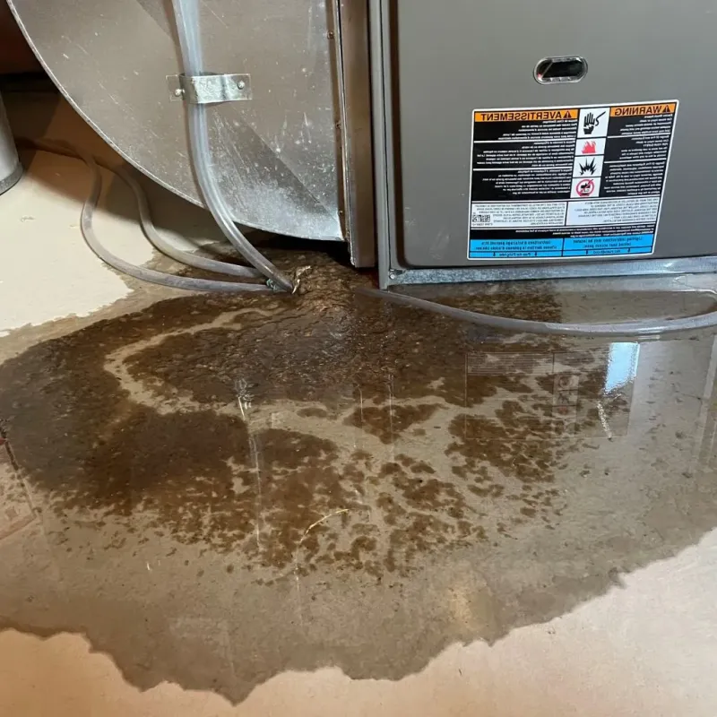 Pipe Burst and Leak Restoration in North Boston, NY